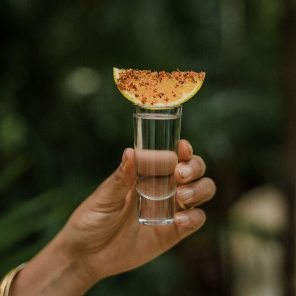 Restaurante Copal Gastro Bar Tulum 26