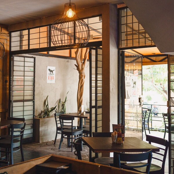 Palmer Bar Guadalajara 11