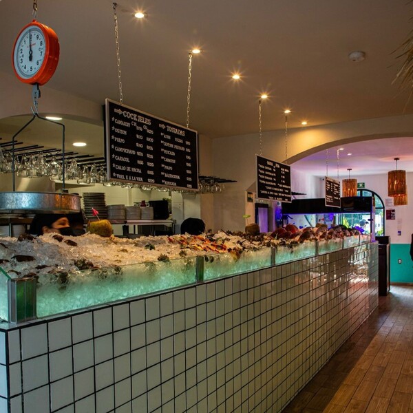 Restaurante Barracruda Anzures 21