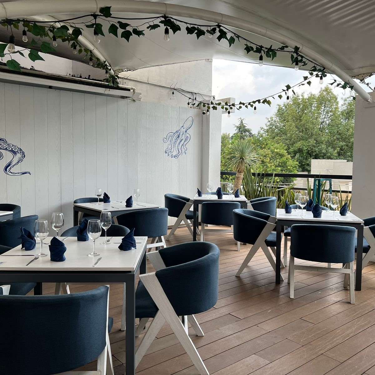 Restaurante Terraza de Mar Lomas 15