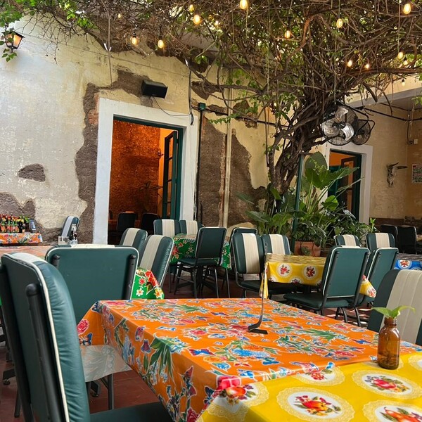 Restaurante Celestino Guadalajara 15