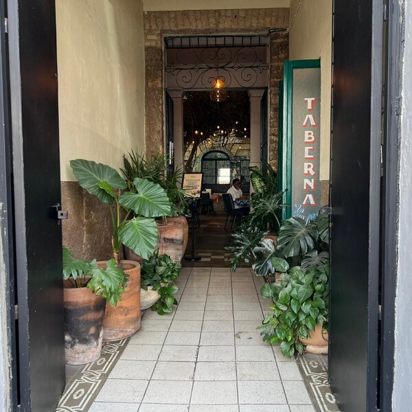 Restaurante Celestino Guadalajara 25