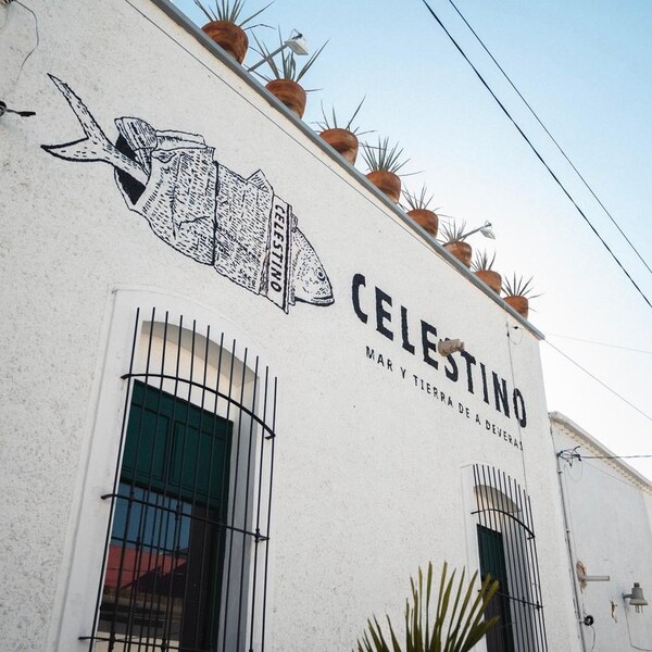 Restaurante Celestino Guadalajara 6