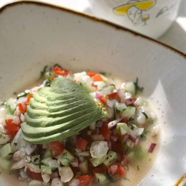 Restaurante Piacere Isla Mujeres 17