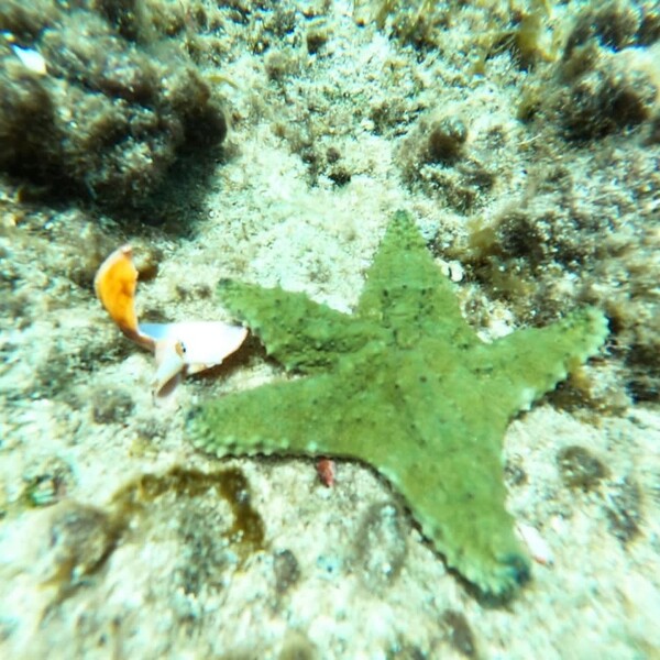 SkyReef Beach Club Cozumel 15