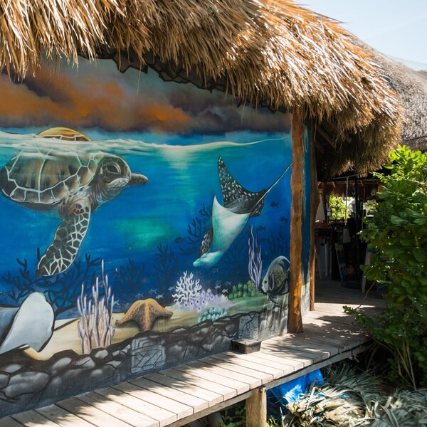 SkyReef Beach Club Cozumel 11