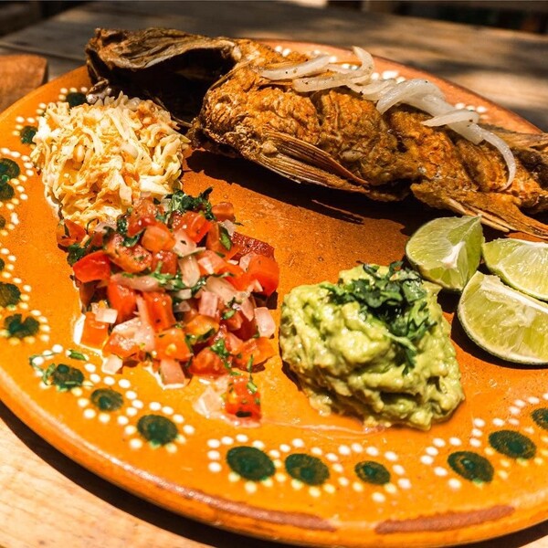 Restaurante Hijos del Cocho Bacalar 12
