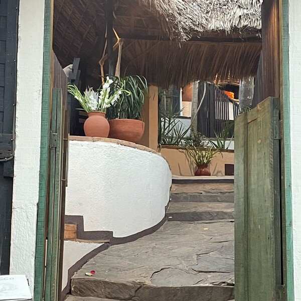 Restaurante Bacco Zipolite 21