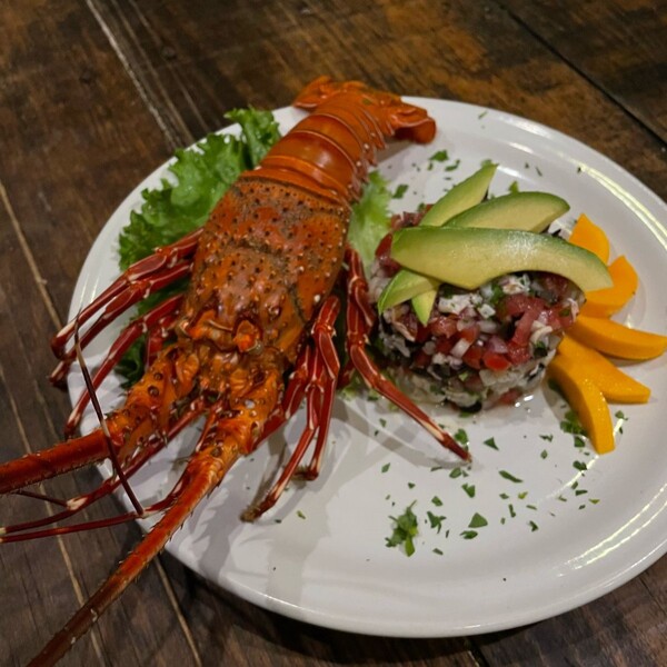 Restaurante Bacco Zipolite 6