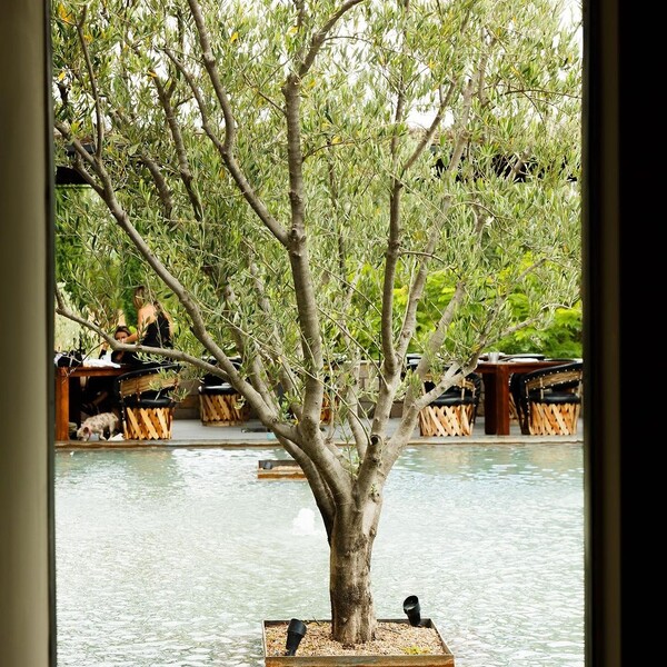 Restaurante Fuego y Agua La Candelaria 21