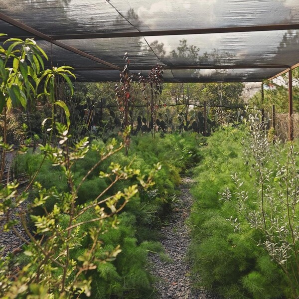 Restaurante De La Tierra Huimilpan 25
