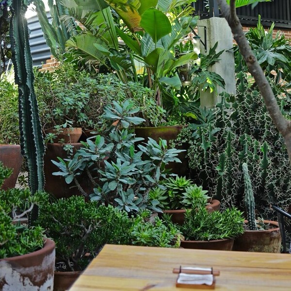 Restaurante De La Tierra Huimilpan 27