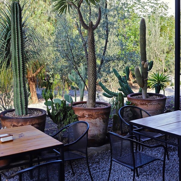 Restaurante De La Tierra Huimilpan 21