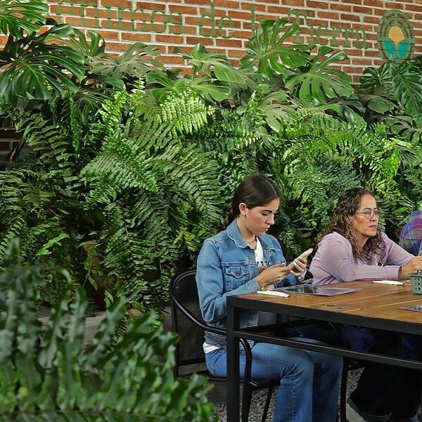 Restaurante De La Tierra Huimilpan 17