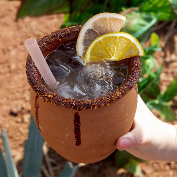 Restaurante Los Camellos Agaves Amatitán 32