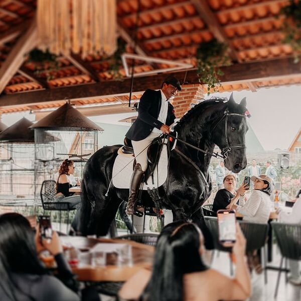 Restaurante Los Camellos Agaves Amatitán 20