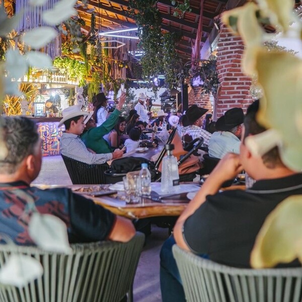Restaurante Los Camellos Agaves Amatitán 13