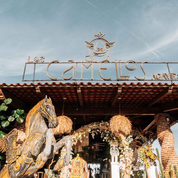 Restaurante Los Camellos Agaves Amatitán 18