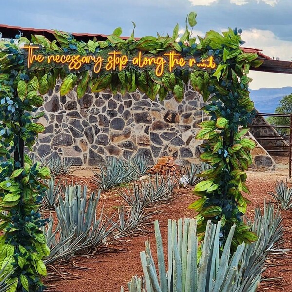 Restaurante Los Camellos Agaves Amatitán 25