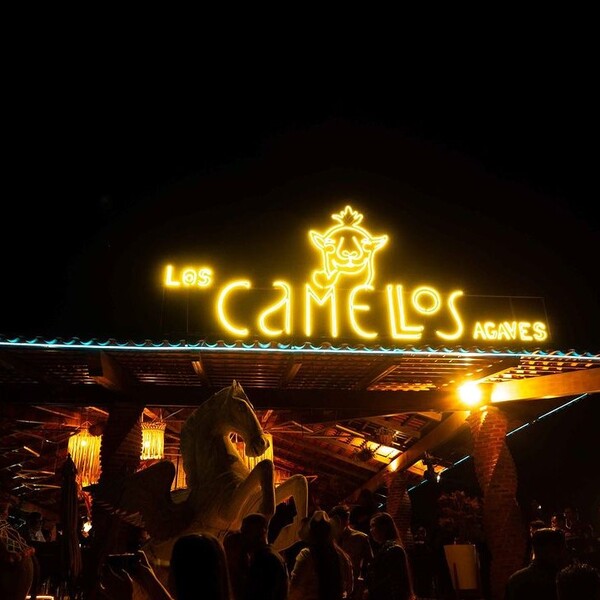 Restaurante Los Camellos Agaves Amatitán 10