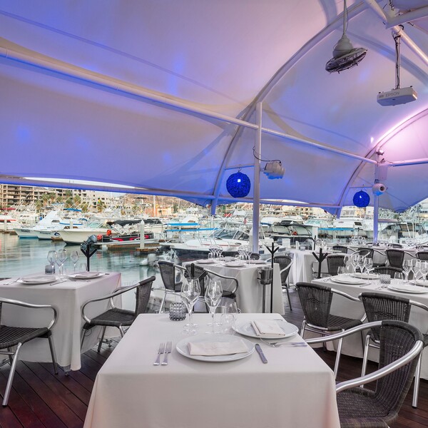 Baja Lobster Co. Cabo San Lucas 5