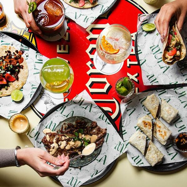 MULA TACOS NECIOS Morelia 14