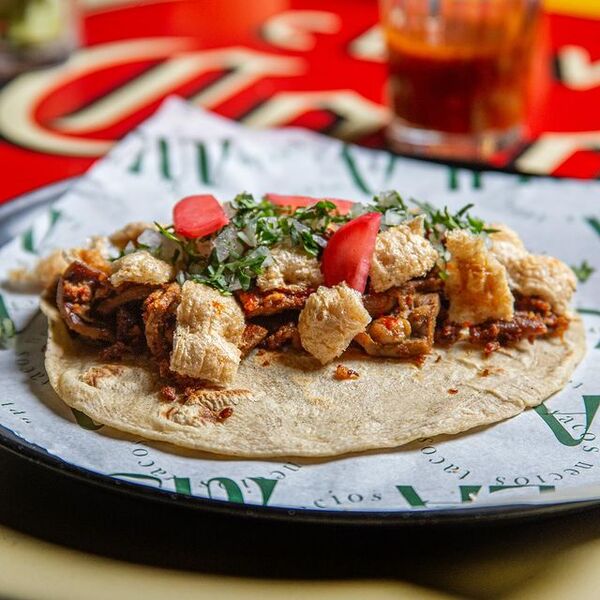 MULA TACOS NECIOS Morelia 8