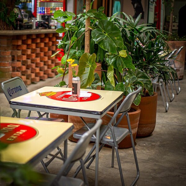 MULA TACOS NECIOS Morelia 17