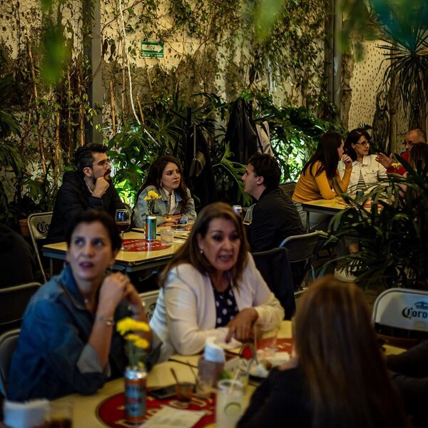 MULA TACOS NECIOS Morelia 23