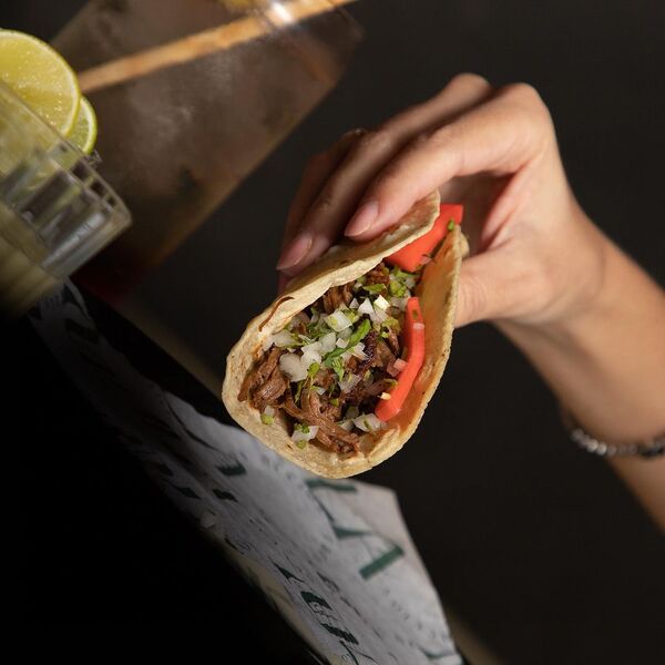 MULA TACOS NECIOS Morelia 26