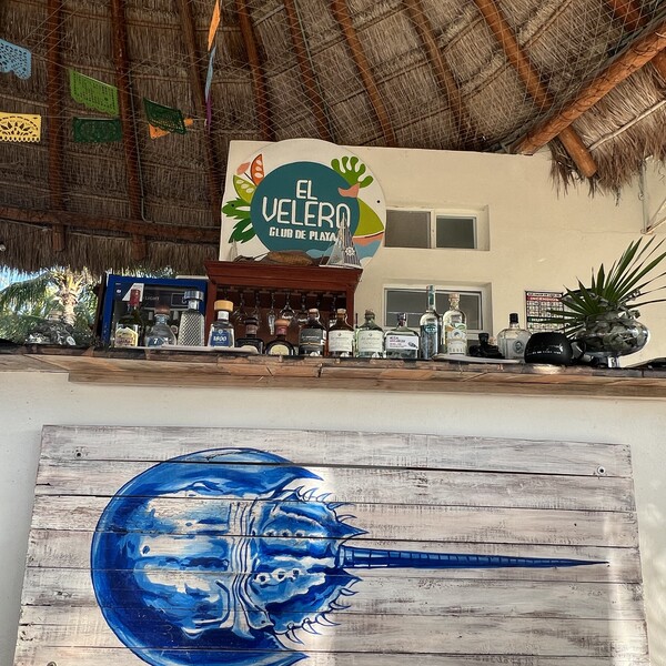 Club de Playa El Velero Holbox 15