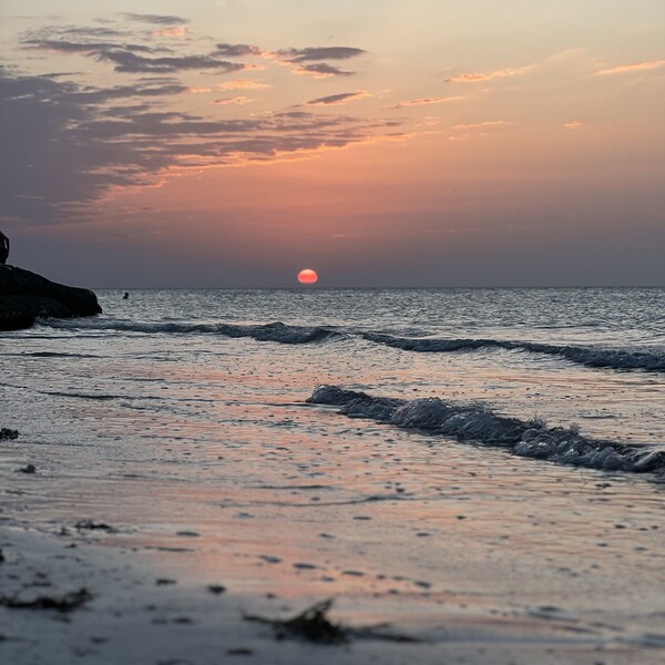 Club de Playa El Velero Holbox 16