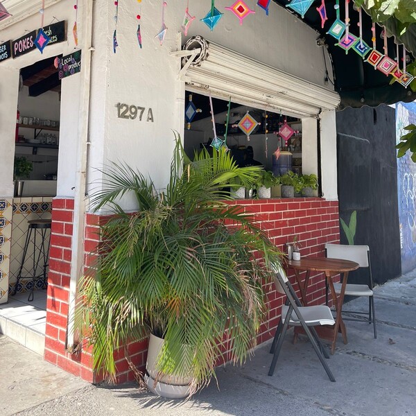 Elixir Spot Vegan Puerto Vallarta 14