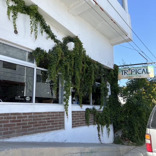 Restaurante Tropical Kitchen Cabo 13