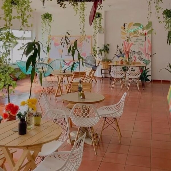 Restaurante Tropical Kitchen Cabo 12
