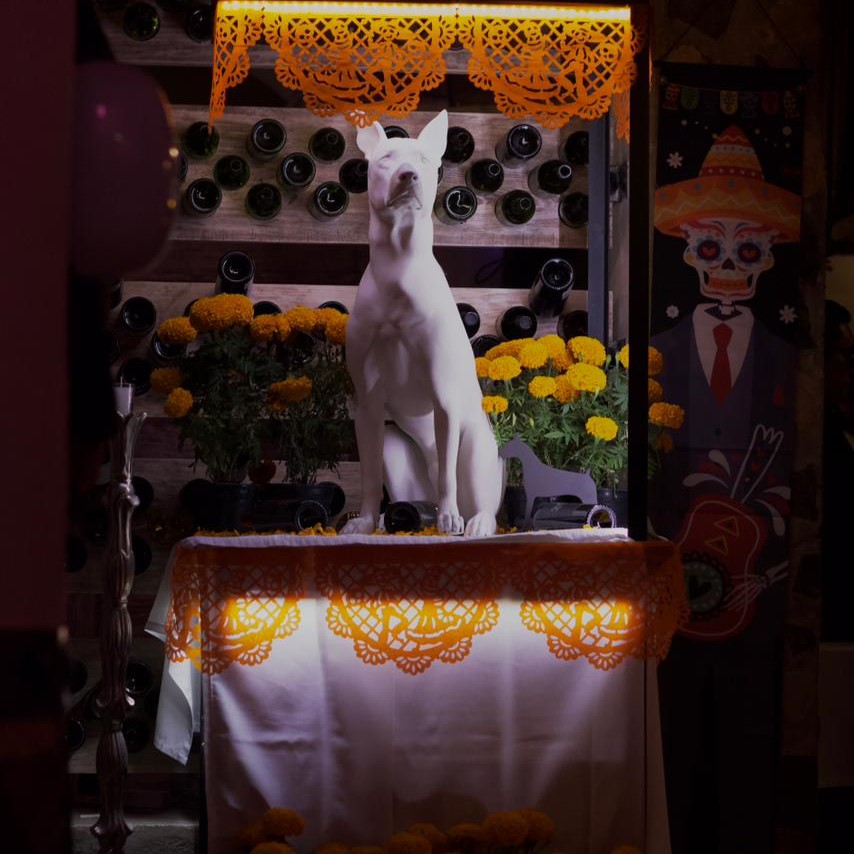 Restaurante Casa Criolla Toluca 13