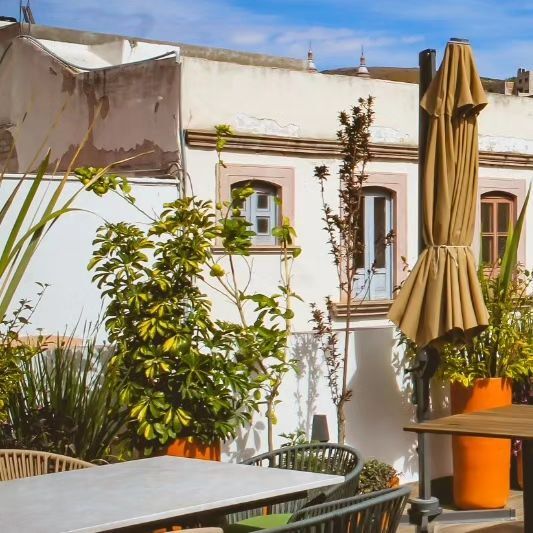 Restaurante Pan Serrano Zacatecas 11