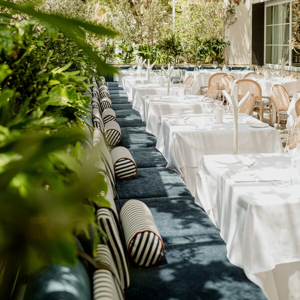 Bagatelle Mexico City Restaurant Polanco 17