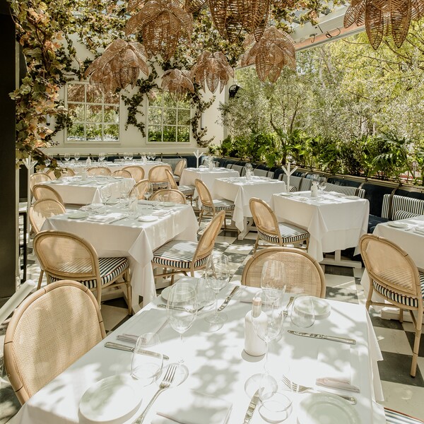 Bagatelle Mexico City Restaurant Polanco 21
