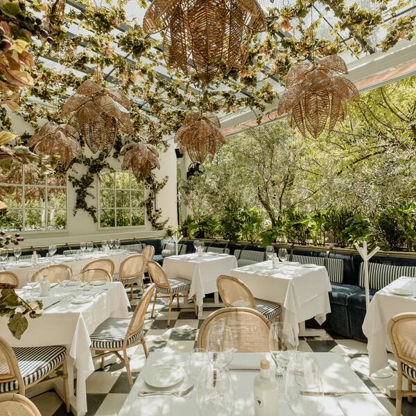 Bagatelle Mexico City Restaurant Polanco 18