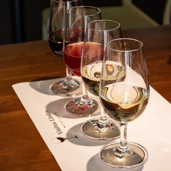 Restaurante Vinitos Lindos Metepec 16