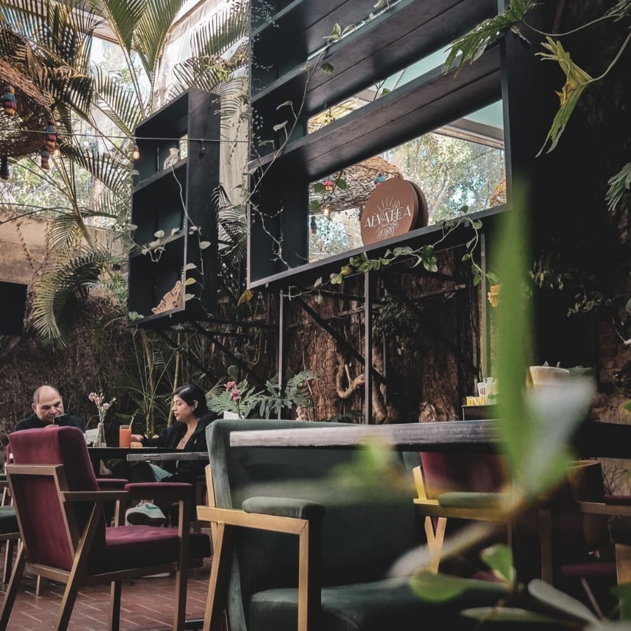 Restaurante Alvatea Guadalajara 8