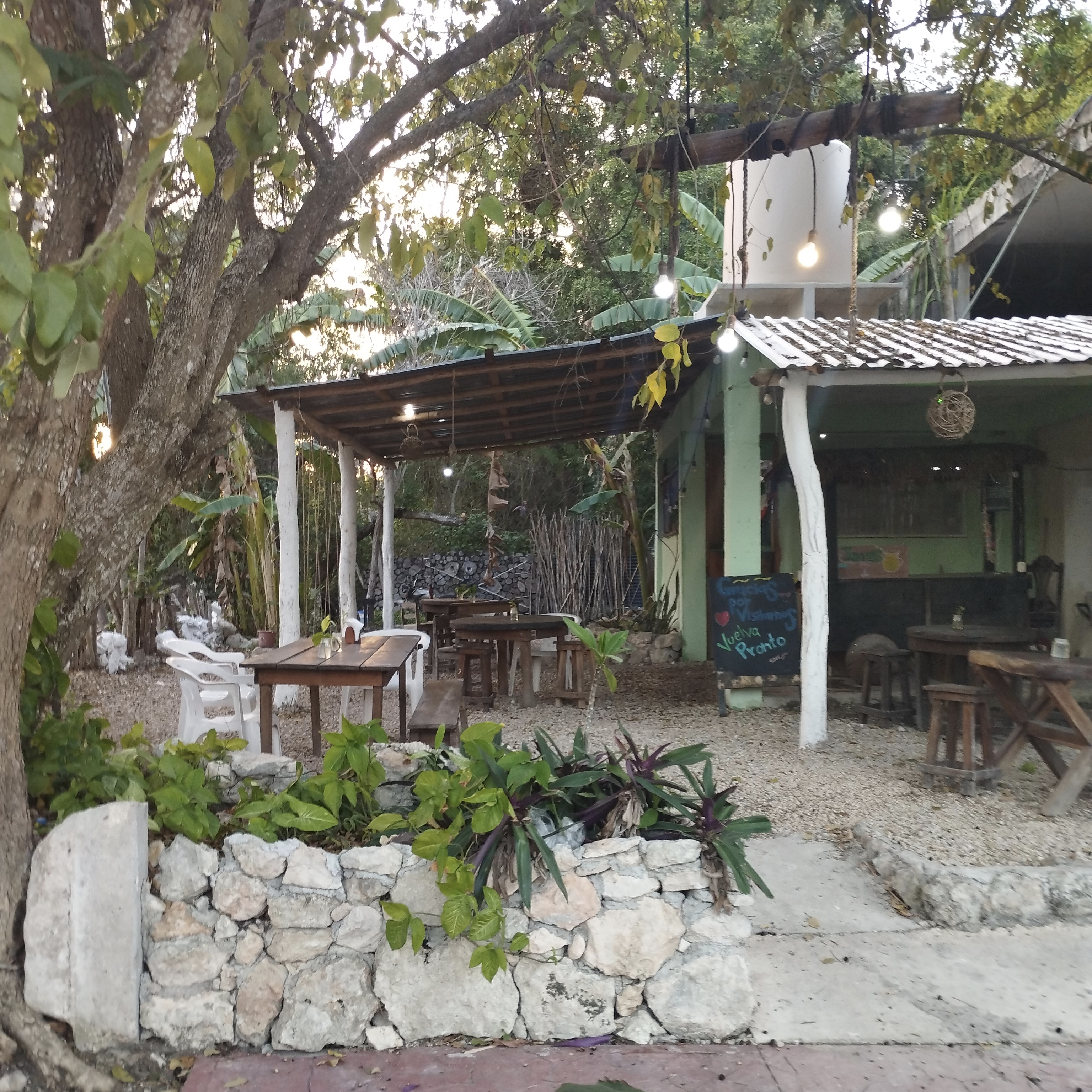 Restaurante Alitas Bacalar 12