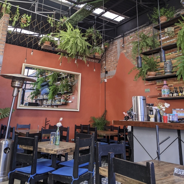 Frida Restaurante Zacatecas 14