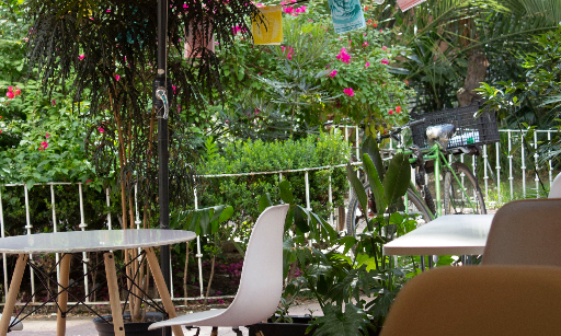 Restaurante Naan CDMX