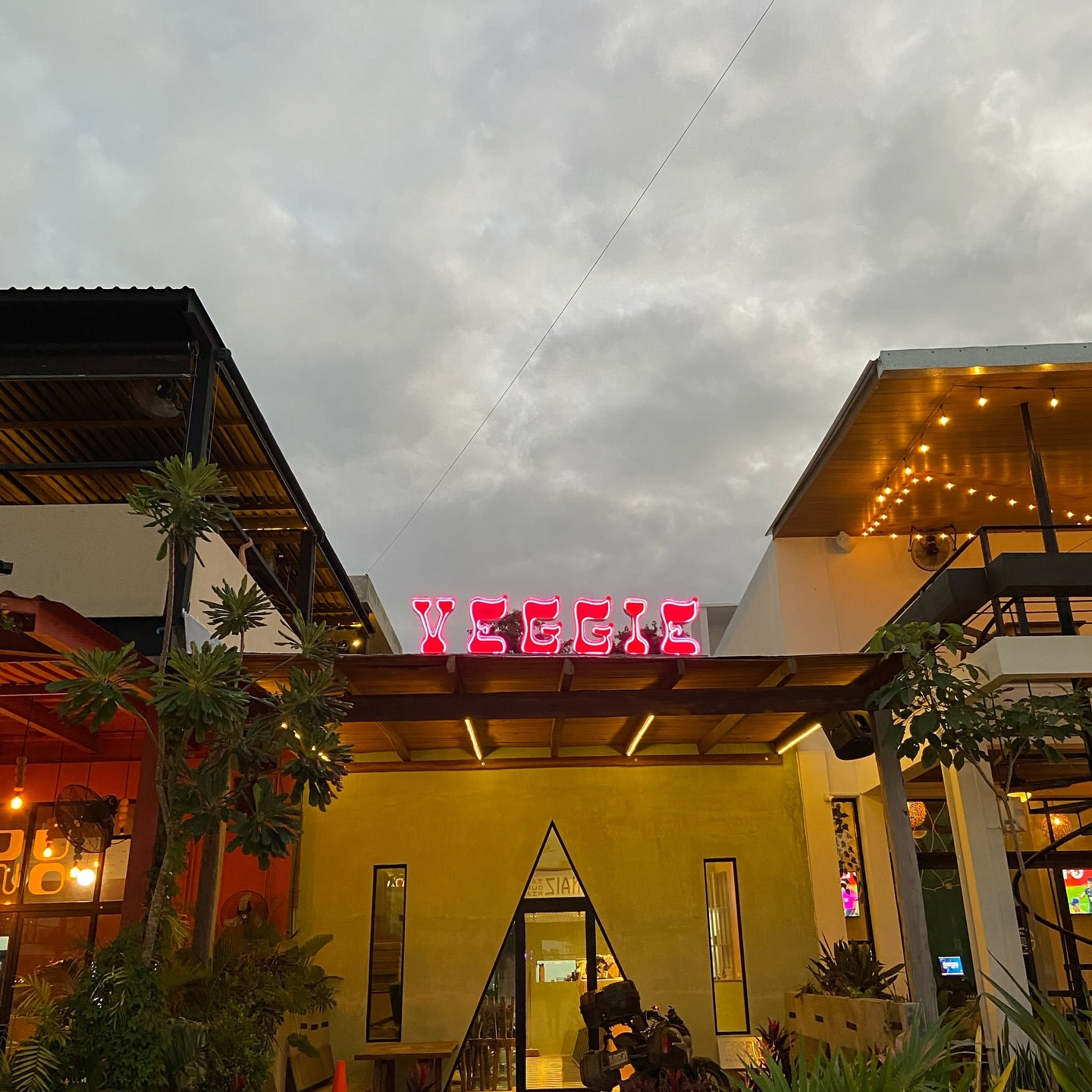 Veggie Mx Vegan Food Cancun 10