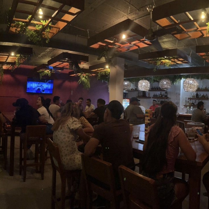 Bar Ikal Mahahual 15
