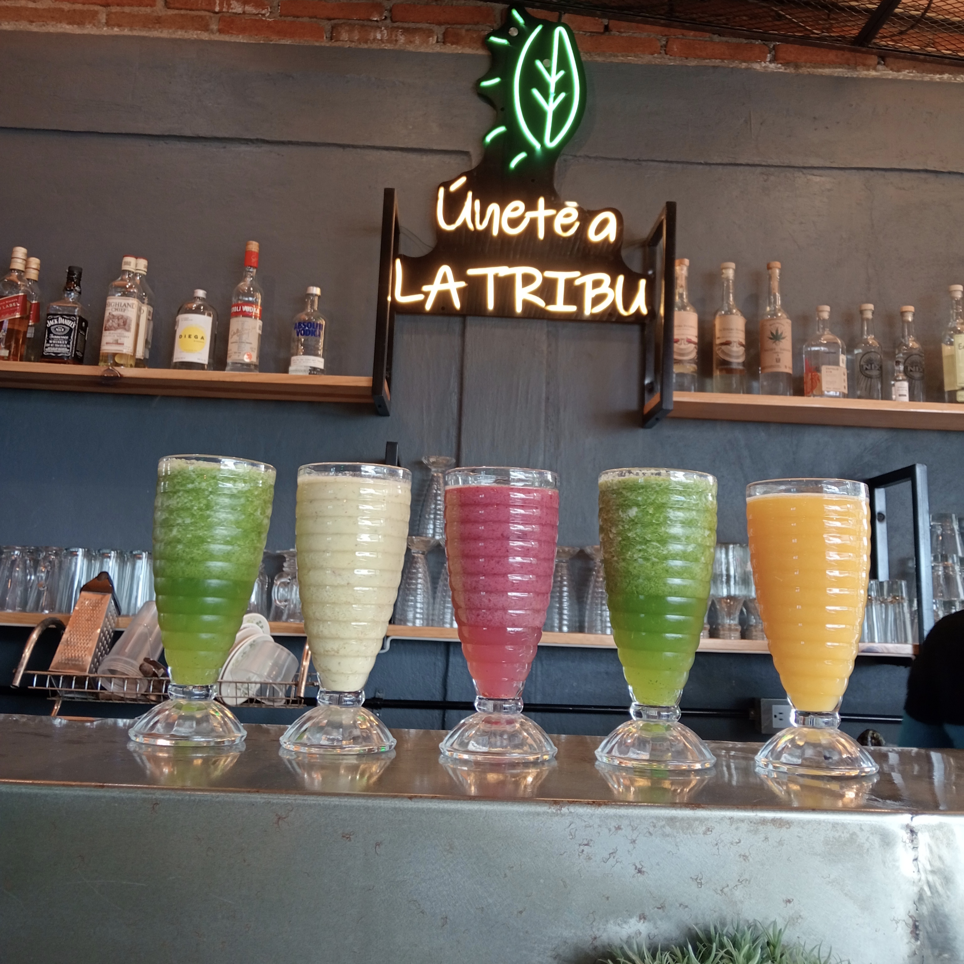 LA TRIBU - Natural Bistro Oaxaca 7