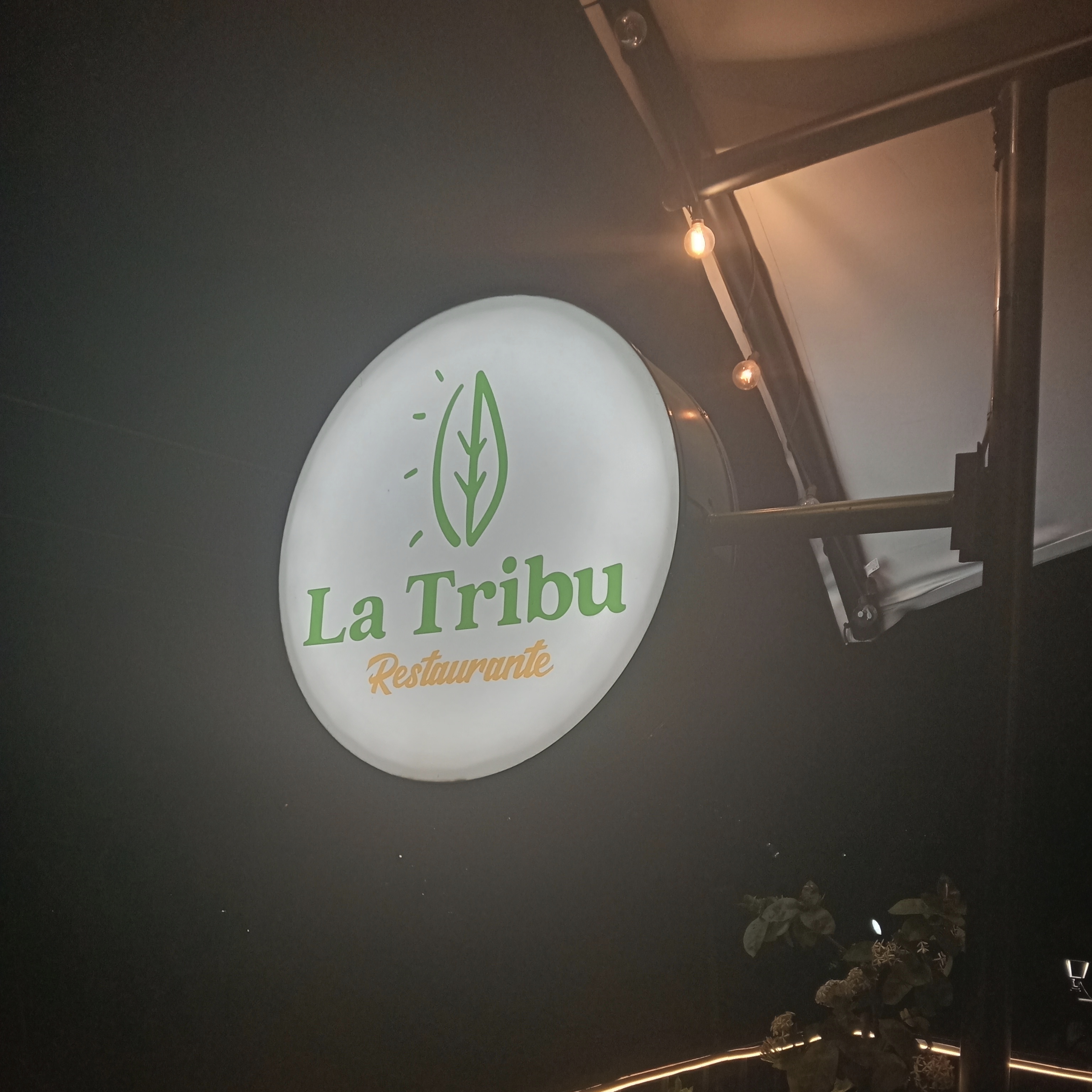 LA TRIBU - Natural Bistro Oaxaca 21