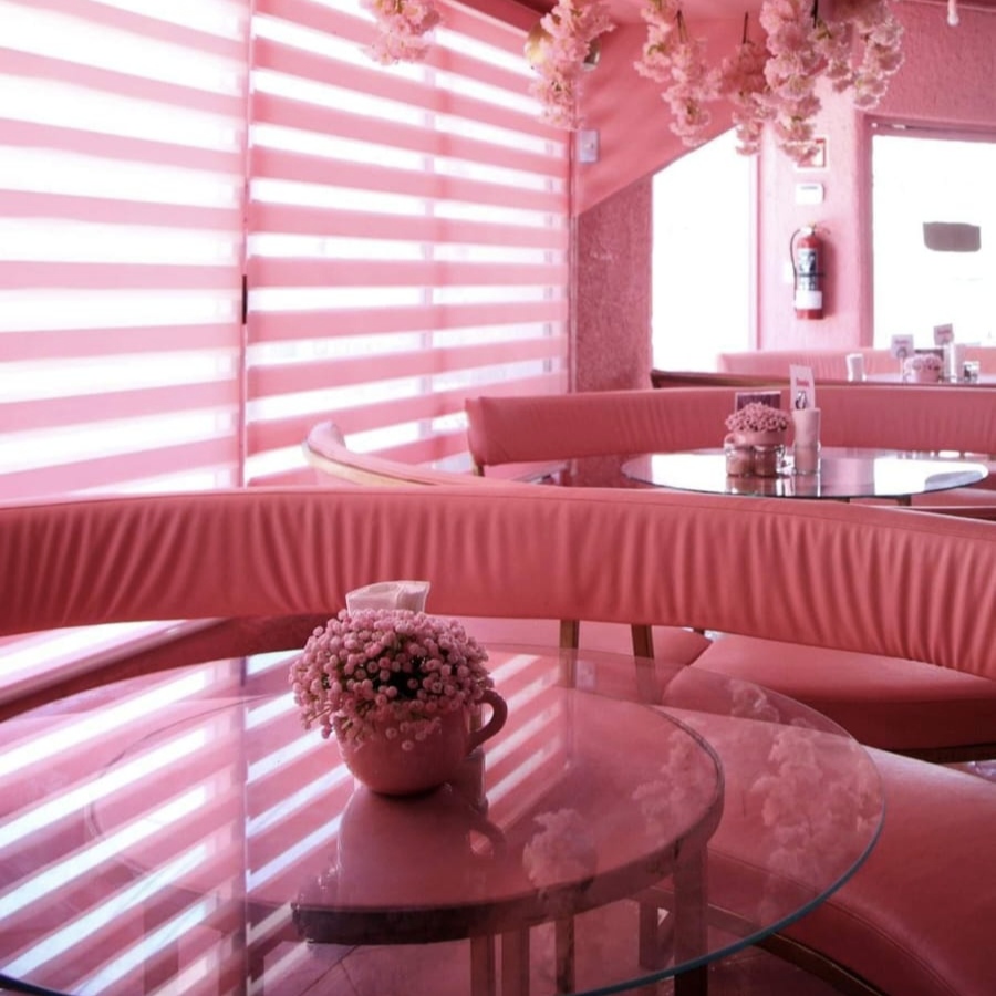 VICA Café & Flores Cabo San Lucas 11